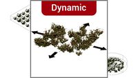 ROCKIT3D Hibiscus syriacus 0.8 m (Rose mallow) dynamic