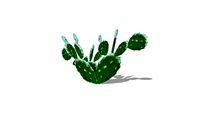 Prickly Pear