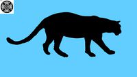 Cougar Silhouette