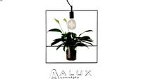 Pendente Nature (Quadrado)