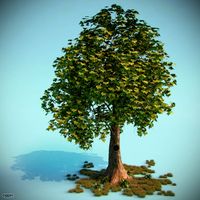 Fairy Tale Tree3d model