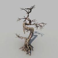Dry Tree 053d model