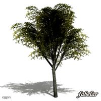 Tree 23d model