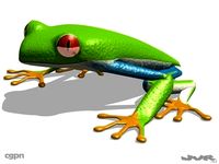 Agalychnis Callidryas - Tree frog3d model