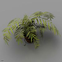 Plant3d model