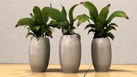 luxury pots with plants3d model