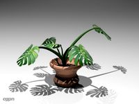 plant3d model