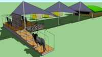 Subasta de toros Bull auction