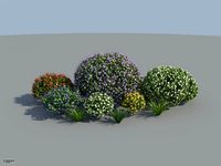 HQ Plants 1.3 - complete3d model