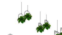 PLANTA SUSPENSA 1 - SAMAMBAIA