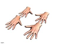 Human hand3d model