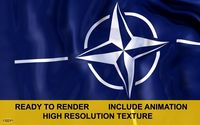 NATO 3d Flag3d model