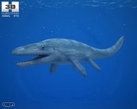 Mosasaurus (Mosasaurus Hoffmannii)3d model
