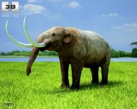 Mastodon (Mammut Americanum)3d model