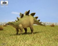 Stegosaurus (Stegosaurus Armatus)3d model