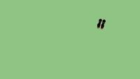 bottes
