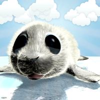 Cartoon Baby Seal Rigged3d model
