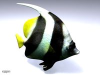 poisson (fish)3d model