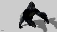 Gorilla3d model