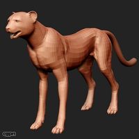 Cheetah base model3d model