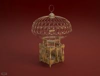 Cage for Bird3d model
