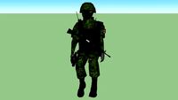 SOLDADO SEDENA MEXICO
