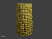 Corn on the cob blend3d model