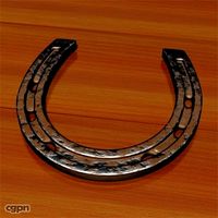 Horseshoe3d model