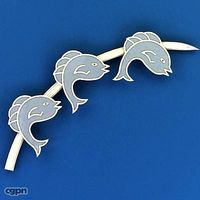 Dolphin brooch3d model