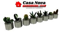 Vasos de Cimento com Plantas Diversas