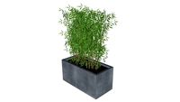 Bambus_Pflanzgefäß_fiberstone_pflanzen-plants_Garten_Pflanzgefäß
