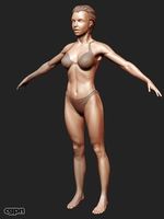 Woman Level 33d model
