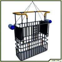 Cage Dive CG3d model