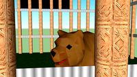 Bear Cage