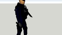 policia municipal de guadalajara jalisco