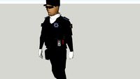 sub director de la policia municipal de tepatitlan de morelos jalisco