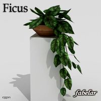 Ficus3d model