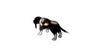 Animal – Basset