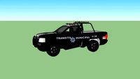 PATRULLA DE TRANSITO MUNICIPAL POLICIA VIAL