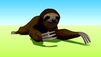 Sloth