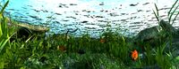The bottom of the lake scene3d model