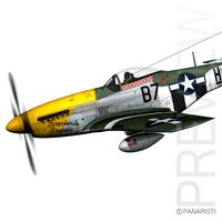 North American P-51D Mustang - Ferocious Frankie3d model