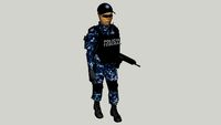 POLICIA FEDERAL PREVENTIVA GENDARMERIA NACIONAL