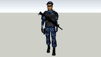 POLICIA FEDERAL PREVENTIVA GENDARMERIA NACIONAL