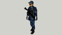 POLICIA FEDERAL PREVENTIVA GENDARMERIA NACIONAL
