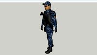 POLICIA FEDERAL PREVENTIVA GENDARMERIA NACIONAL