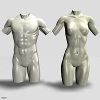 male and female torso120113d model