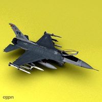 F-16cj 20th Fighter Wing3d model