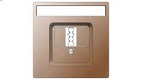 D-Life Central plate with square opening and telephone socket-outlet TAE, 1-gang, champagne metallic