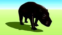Pygmy Hippopotamus